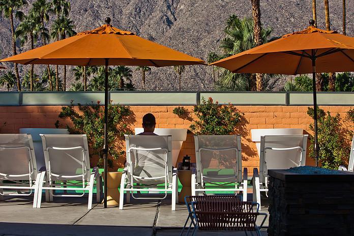 clothing optional resort in Palm Springs Century Palm Springs2