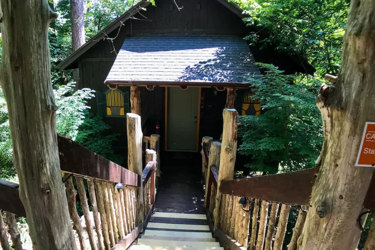 treehouse cabin in eureka Springs Oak Crest - The Chateau Treehouse