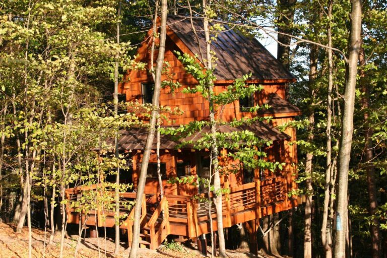 treehouse cabins in upstate ny out on a limb