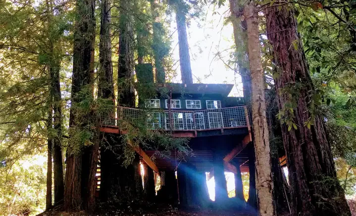 treehouse in california Romantic Treehouse