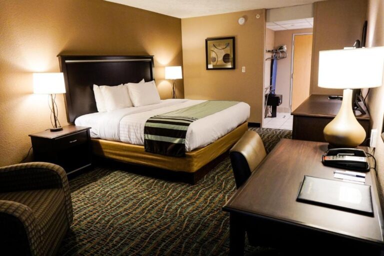 Boarders Inn & Suites - Deluxe King Room