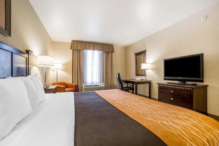 Comfort Inn & Suites - King Room