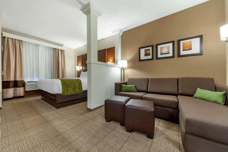Comfort Suites Grand Island - King Suite