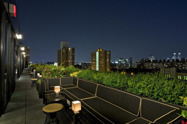 Dream Downtown hotel with rooftop bar in nyc 2