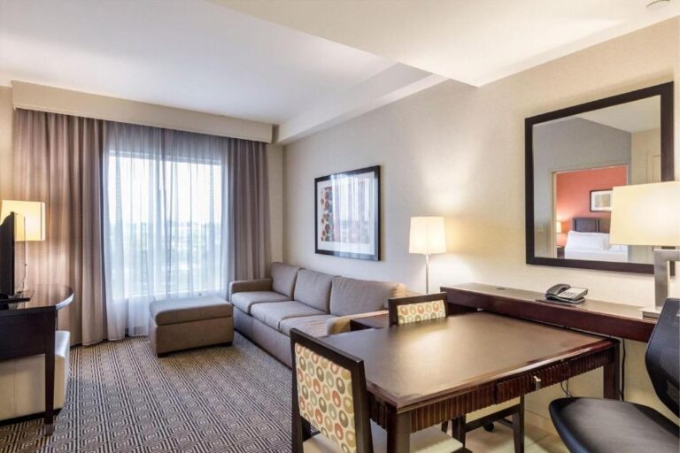 Embassy Suites - Premium King Suite with Sofa Bed 2