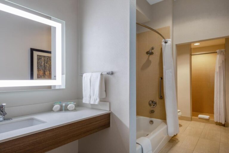 Holiday Inn Express & Suites Dallas Fair Park an IHG Hotel with indoor pool in dallas 5
