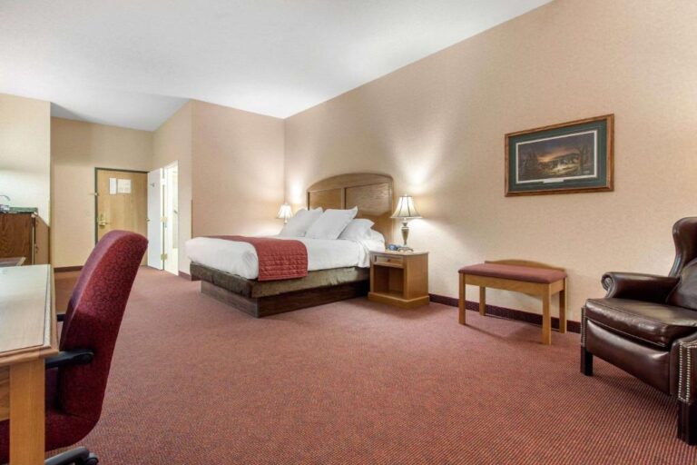 Norfolk Lodge & Suites - King Room