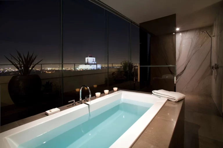 Themed Hotels in Los Angeles. Andaz West Hollywood.3