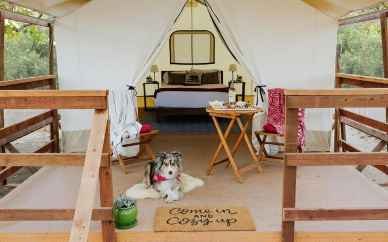 romantic hotels at Wildhaven Sonoma Glamping in northern california