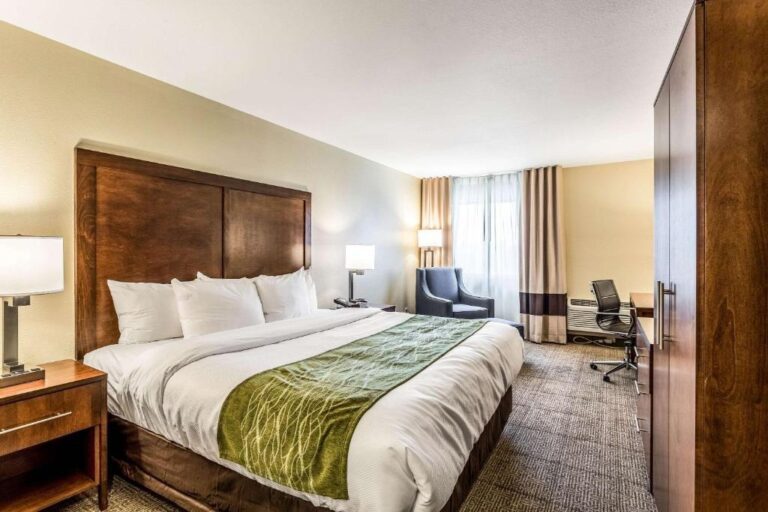 Comfort Inn & Suites - King Room