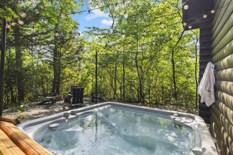 Private Retreat with Hot Tub - Asheville 4