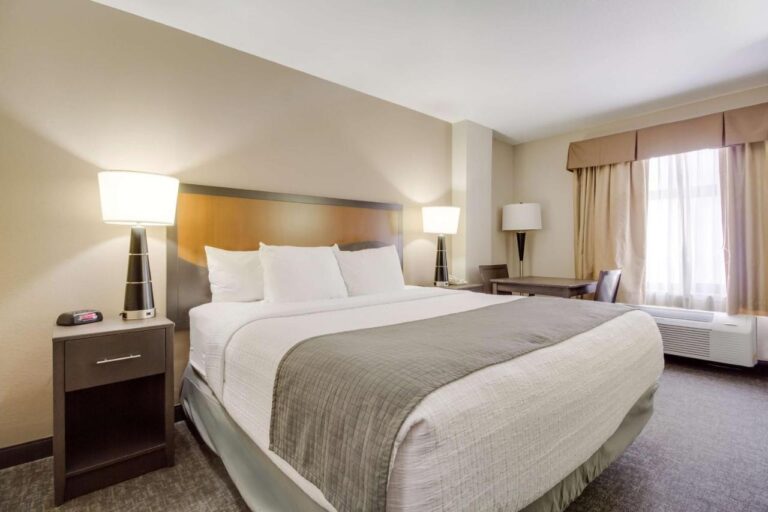 SureStay Plus Hotel by Best Western Houston Medical Center with indoor pool in houston 3
