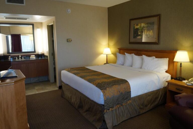 The Biltmore Hotel & Suites - King Room