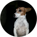 Heather Denton Arlin