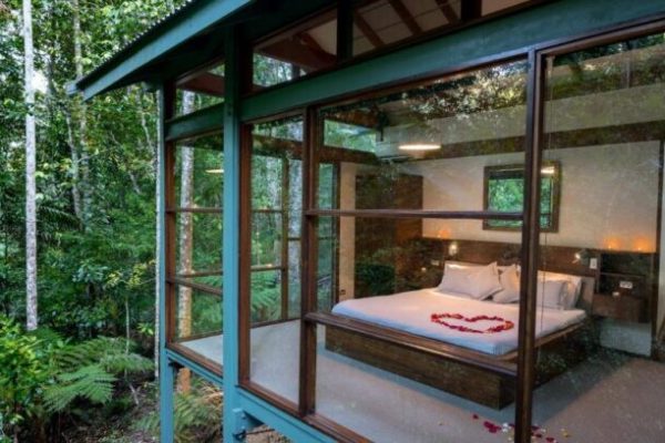 Crystal Creek Rainforest Retreat 2