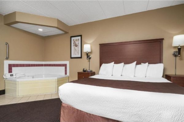 Fantasy Suites & Themed Hotels in Minnesota (27)