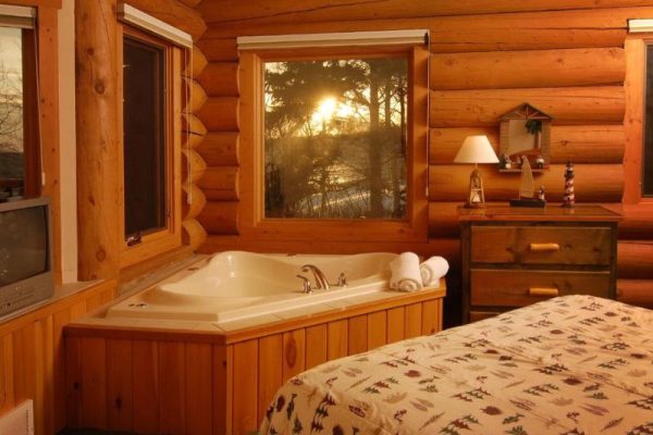 Fantasy Suites & Themed Hotels in Minnesota (50)