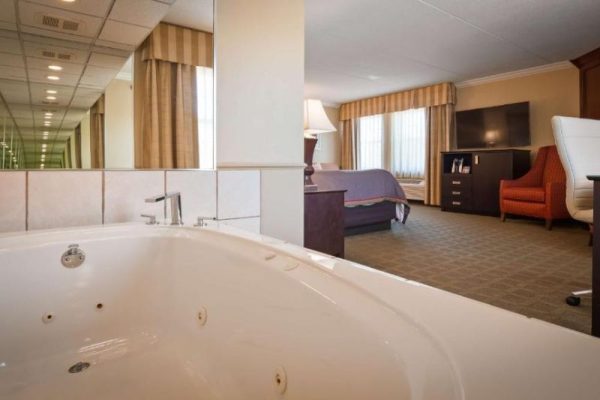 Themed Hotels in Minnesota (11)