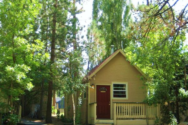 love hote california sleepy forrest cottages 2