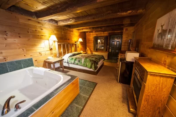 themed hotel Log Cabin Lodge & Suites Pennsylvania 4
